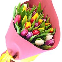Букет разноцветных тюльпанов "Патриси"