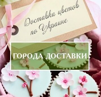 Букеты из Ирисов.annetflowers.com.ua